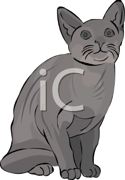 Pet Clipart