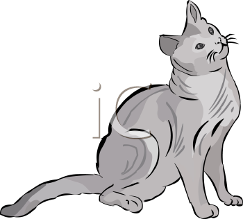 Pet Clipart