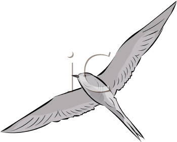 Bird Clipart