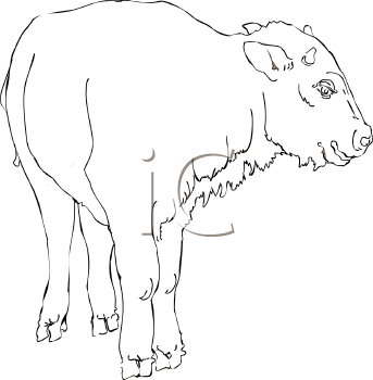 Buffalo Clipart