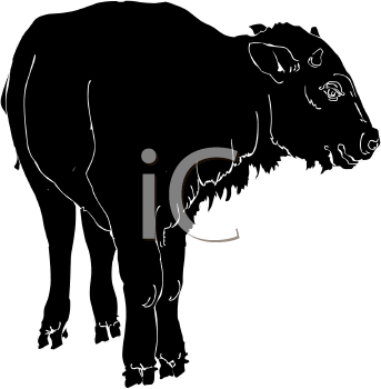 Buffalo Clipart