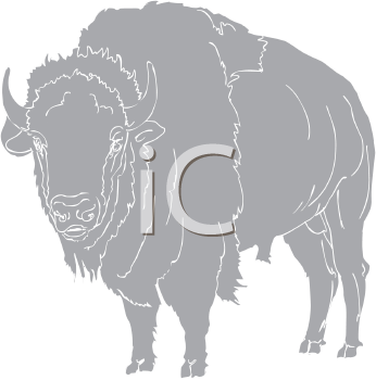 Buffalo Clipart