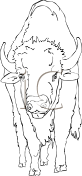 Buffalo Clipart