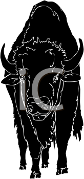 Buffalo Clipart