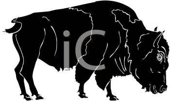 Buffalo Clipart