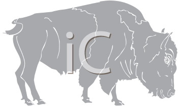 Buffalo Clipart