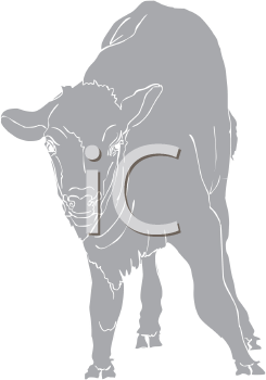 Buffalo Clipart