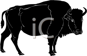 Buffalo Clipart