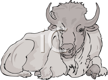 Buffalo Clipart