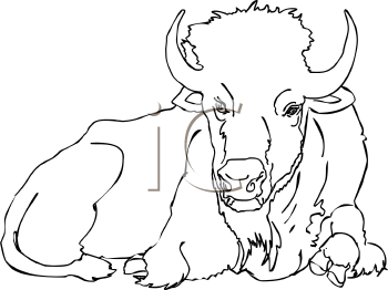 Buffalo Clipart