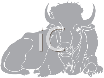 Buffalo Clipart