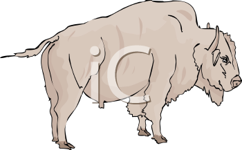 Buffalo Clipart