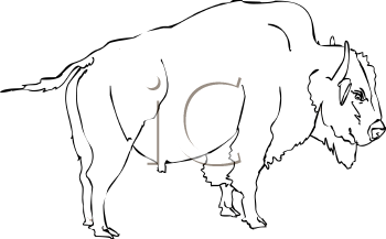 Buffalo Clipart