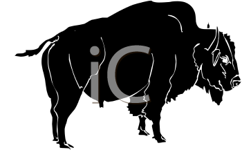 Buffalo Clipart