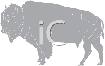 Buffalo Clipart