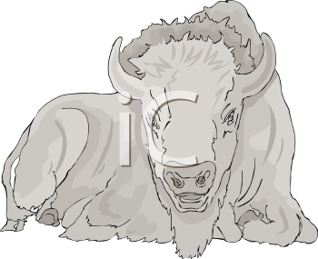 Buffalo Clipart