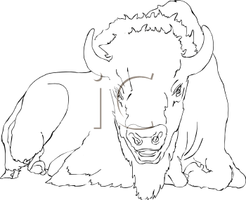 Buffalo Clipart