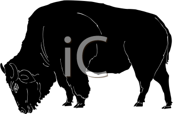 Buffalo Clipart