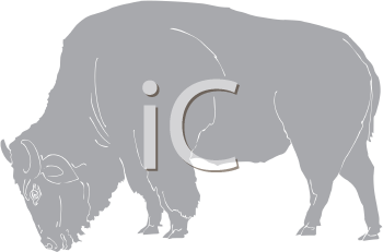 Buffalo Clipart