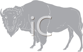 Buffalo Clipart