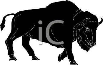 Buffalo Clipart