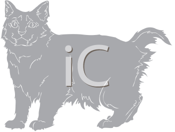 Pet Clipart