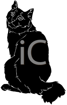 Pet Clipart