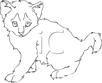 Pet Clipart