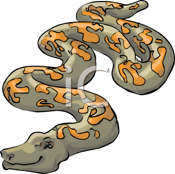 Reptile Clipart