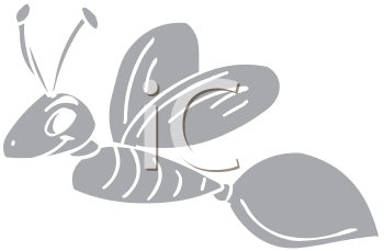 Insect Clipart