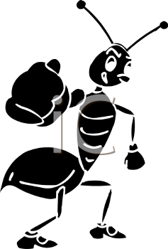 Insect Clipart