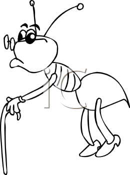 Insect Clipart