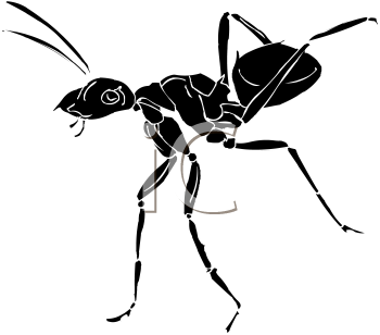 Insect Clipart