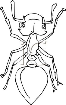 Insect Clipart