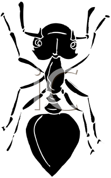 Insect Clipart