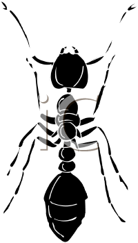 Insect Clipart