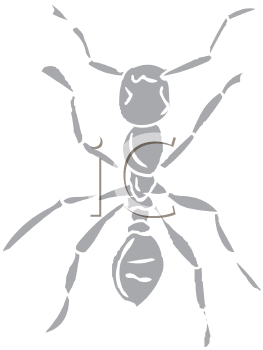 Insect Clipart