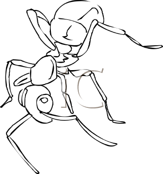 Insect Clipart