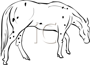 Horse Clipart