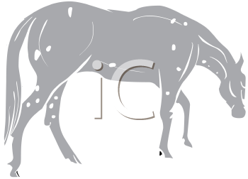 Horse Clipart