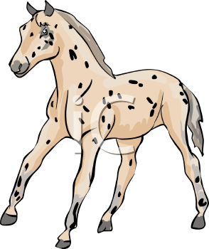 Horse Clipart