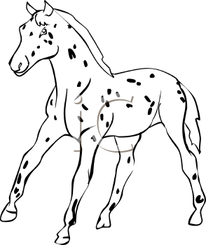 Horse Clipart