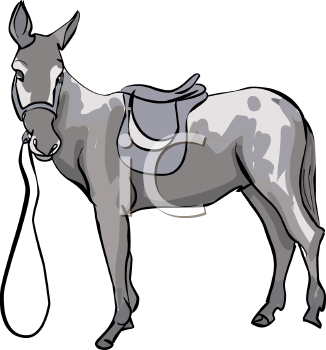 Horse Clipart