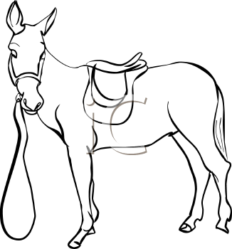 Horse Clipart