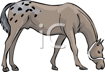 Horse Clipart