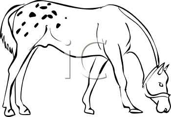 Horse Clipart