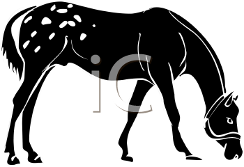 Horse Clipart