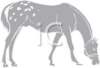 Horse Clipart