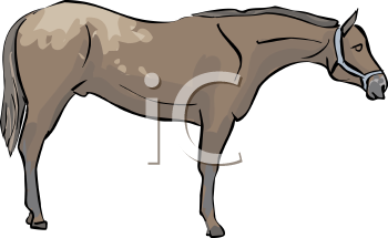 Horse Clipart