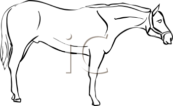 Horse Clipart